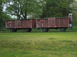Westerbork-Stein Memorial Run 2024