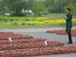 Westerbork-Stein Memorial Run 2024